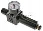 Preview: MULTIFIX Filterregler, G 1/4", 0,2 - 6bar, Baureihe 1