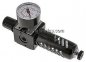 Preview: MULTIFIX Filterregler, G 1/4", 0,2 - 6bar, Baureihe 1