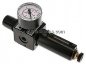 Preview: MULTIFIX Filterregler, G 1/4", 0,5 - 10bar, Baureihe 1