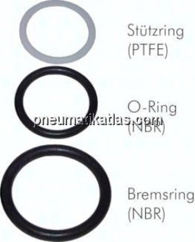 Exemplarische Darstellung: Stützring: PTFE, O-Ring