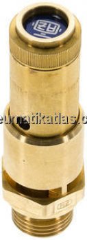 TÜV-Sicherheitsventil G 1/2" (DN10), 0,20 bar, Messing