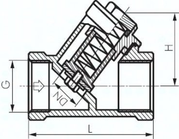 Schrägsitz-Rückschlagventil, G 2", PN 40, Edelstahl