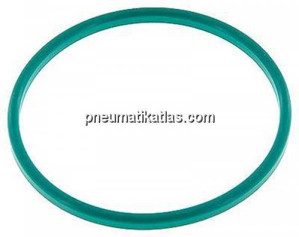 Dichtung (Milchgewinde) DN 100, FKM (grün), 104x114x6,0mm