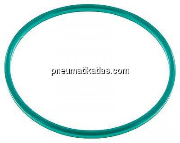 Dichtung (Milchgewinde) DN 150, FKM (grün), 155x167x7,0mm