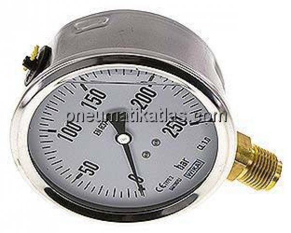 Glycerin-Manometer senkrecht (CrNi/Ms),100mm, 0 - 250 bar