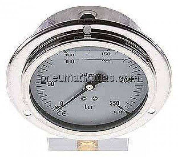 Glycerin-Einbaumanometer,Front-ring, 100mm, 0 - 250 bar