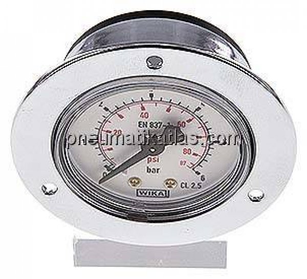 Einbaumanometer (CrNi/Ms), Frontring, 50mm, 0 - 6 bar