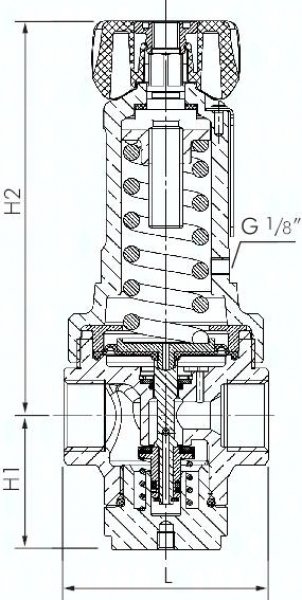 Druckregler, 1.4408, G 1-1/2", 0,5 - 15bar (nicht rücksteuerbar)