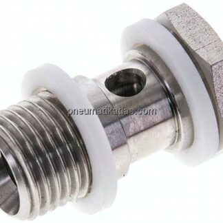 Hohlschraube, 1-fach G 1/4"-25mm, 1.4571