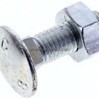 Flachrundschraube DIN 603, M 10x30, Stahl verzinkt 3.6 / 4.6