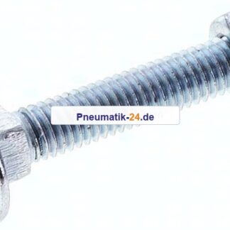 Flachrundschraube DIN 603, M 5x30, Stahl verzinkt 3.6 / 4.6