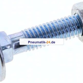 Flachrundschraube DIN 603, M 6x30, Stahl verzinkt 3.6 / 4.6