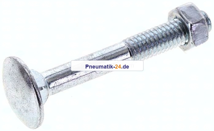 Flachrundschraube DIN 603, M 6x45, Stahl verzinkt 3.6 / 4.6
