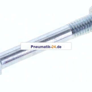 Flachrundschraube DIN 603, M 6x50, Stahl verzinkt 3.6 / 4.6