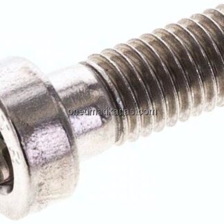 Zylinderschraube DIN 6912, M 10x25, Edelstahl A2