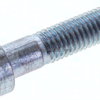 Zylinderschraube DIN 6912, M 10x40, Stahl verzinkt 8.8