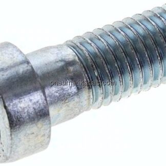 Zylinderschraube DIN 6912, M 12x30, Stahl verzinkt 8.8