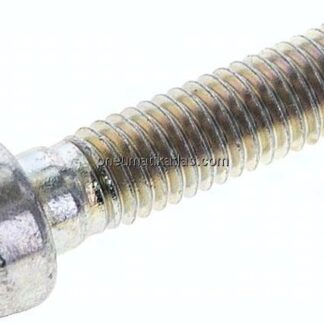 Zylinderschraube DIN 6912, M 5x20, Stahl verzinkt 8.8