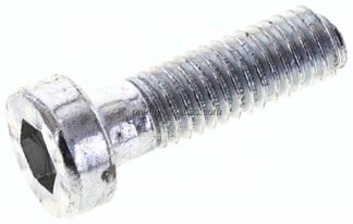 Zylinderschraube DIN 6912, M 6x20, Stahl verzinkt 8.8