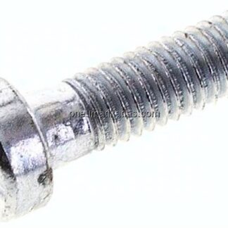 Zylinderschraube DIN 6912, M 6x20, Stahl verzinkt 8.8