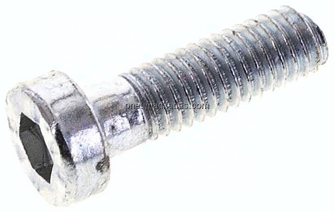 Zylinderschraube DIN 6912, M 6x20, Stahl verzinkt 8.8