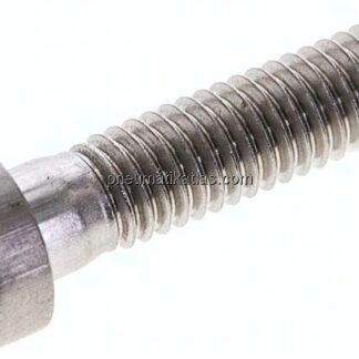 Zylinderschraube DIN 6912, M 6x25, Edelstahl A2