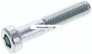 Zylinderschraube DIN 6912, M 6x30, Stahl verzinkt 8.8