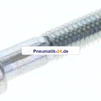 Zylinderschraube DIN 6912, M 6x30, Stahl verzinkt 8.8
