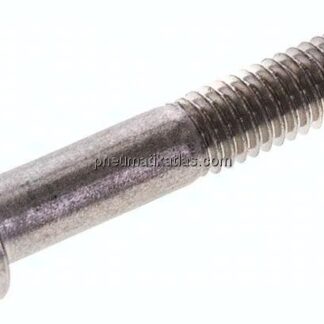Zylinderschraube DIN 6912, M 6x35, Edelstahl A2
