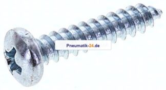 Linsen-Blechschraube DIN7981C, 3,9x19 Stahl gehärtet & verzinkt