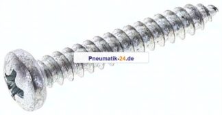 Linsen-Blechschraube DIN7981C, 3,9x25 Stahl gehärtet & verzinkt