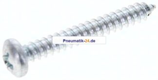 Linsen-Blechschraube DIN7981C, 4,2x32 Stahl gehärtet & verzinkt
