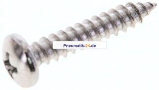 Linsen-Blechschraube DIN7981C, 4,8x25 Edelstahl A2
