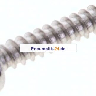 Linsen-Blechschraube DIN7981C, 4,8x25 Edelstahl A2