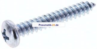 Linsen-Blechschraube DIN7981C, 4,8x32 Stahl gehärtet & verzinkt