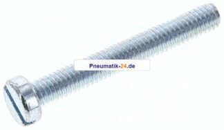 Zylinderschraube DIN 84, M 4x30, Stahl verzinkt 4.8
