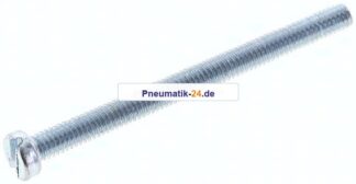 Zylinderschraube DIN 84, M 4x50, Stahl verzinkt 4.8