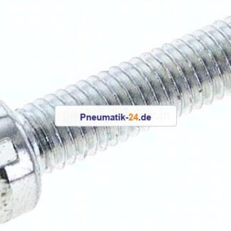 Zylinderschraube DIN 84, M 5x20, Stahl verzinkt 4.8