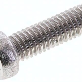 Zylinderschraube DIN 84, M 6x20, Edelstahl A2