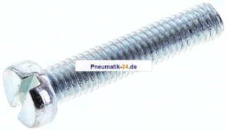 Zylinderschraube DIN 84, M 6x30, Stahl verzinkt 4.8