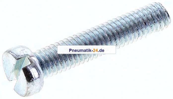Zylinderschraube DIN 84, M 6x30, Stahl verzinkt 4.8