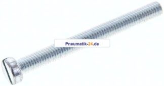 Zylinderschraube DIN 84, M 6x60, Stahl verzinkt 4.8