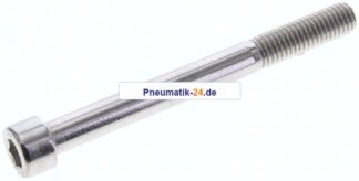 Zylinderschraube DIN 912, M 10x100, Edelstahl A2