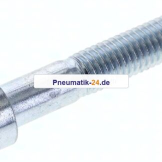 Zylinderschraube DIN 912, M 10x55, Stahl verzinkt 8.8