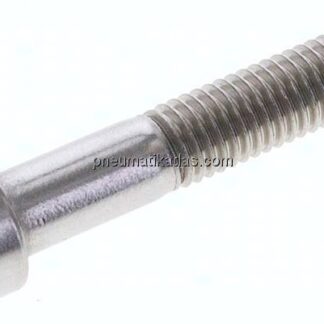 Zylinderschraube DIN 912, M 10x55, Edelstahl A2
