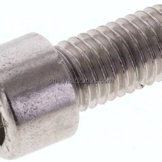 Zylinderschraube DIN 912, M 12x25, Edelstahl A2