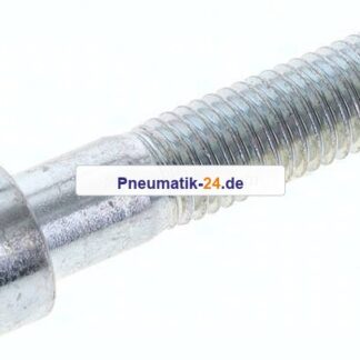 Zylinderschraube DIN 912, M 12x55, Stahl verzinkt 8.8