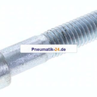 Zylinderschraube DIN 912, M 12x60, Stahl verzinkt 8.8