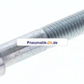 Zylinderschraube DIN 912, M 12x70, Stahl verzinkt 8.8
