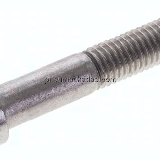 Zylinderschraube DIN 912, M 12x70, Edelstahl A2